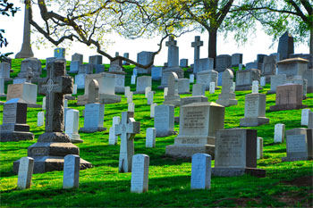 Cemetery showing many headstones